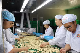 Agro-forestry-fishery exports up 9.9 percent in five months