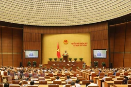 National Assembly’s 17th working day