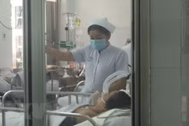 Swine flu causes another death in HCM City 