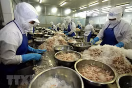 Investment attraction important to food processing industry: workshop