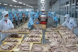  Vietnamese exports to Africa face price challenges 