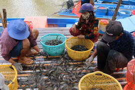 Removing EC’s yellow card key to boosting seafood exports