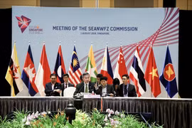 Vietnam attends SEANWFZ, AICHR meetings in Singapore 