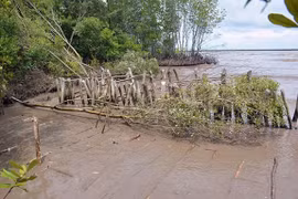 Kien Giang faces serious riverbank, coastal erosion 