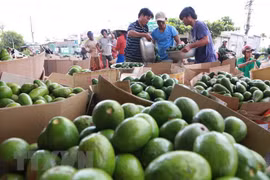 Vietnam seeks to accelerate agricultural restructuring