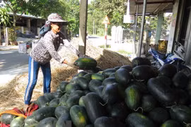 Vietnamese farm produce seeks to reach French customers
