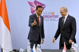 Indonesia seeks to boost economic ties with Russia 