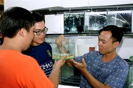 HCM City eyes 23 million USD from ornamental fish exports 