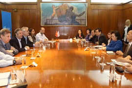 Vietnam looks to boost health cooperation with Argentina 