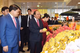 Vietnamese staples to be introduced in Japan