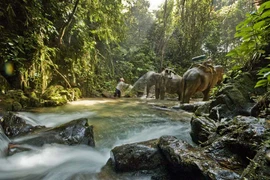 Thailand’s national park system starts annual closure of attractions