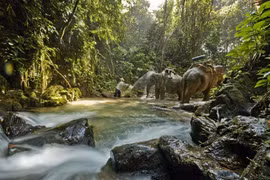 Thailand’s national park system starts annual closure of attractions