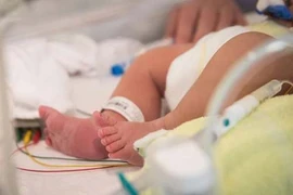 Cambodia steps up efforts against surrogacy