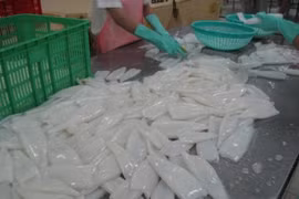 Vietnam’s squid and octopus exports to US surge 
