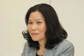 Vietnam chairs ASEAN Committee meeting in Netherlands