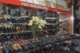 Leather, footwear sector needs supporting industry
