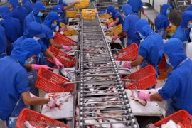 Vietnam’s seafood exports to ASEAN expected to reach 1 billion USD soon