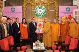 Hanoi leader extends New Year wishes to Buddhists 