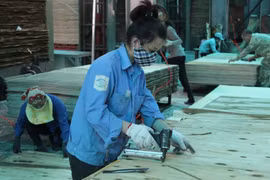 FLEGT-VPA to fuel Vietnam’s wood export to global markets