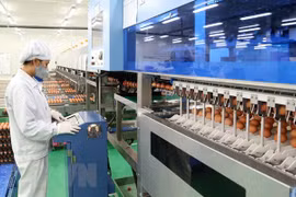 Phu Tho develops infrastructure at industrial zones