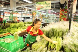 Vietnamese billionaires vow to boost agricultural development