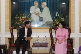 HCM City, Lao provincial front officials share experience