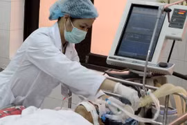 Tra Vinh province reports second death from swine flu virus