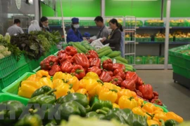 Vietnam seeks to export more agricultural products to RoK