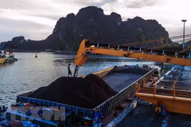 Mining group looks to higher revenue in 2019 