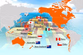 Vietnam’s core interests still ensured with CTPPP membership