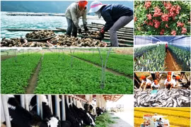 National online conference to be held on agriculture, farmers, rural areas
