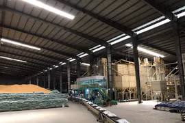 Vietnamese group wins Japonica rice export contracts to RoK
