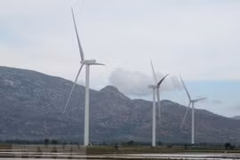 Green economy breeds sustainable development 