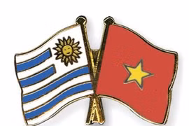 Ambassador trusts bright prospect of Vietnam – Argentina ties