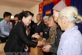 NA Chairwoman pays pre-Tet visit to Ha Tinh province