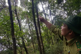 National park guide talks to the birds