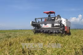 Ninh Thuan works to improve ethnic people’s lives