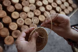 EU-funded project to sustainably develop clam, bamboo value chains