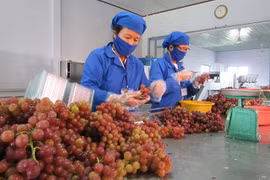 Collective bargaining helps build harmonised labour relations