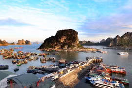 Legal framework needed to run special administrative-economic zones