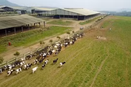 Farmers in central region urged to develop hi-tech agriculture