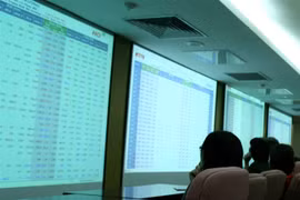 Shares rally on investor optimism