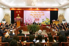Overseas Vietnamese honoured for contributions to homeland 
