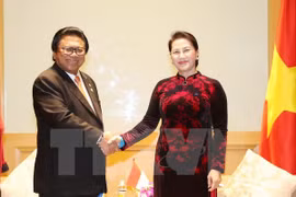 Vietnam, Indonesia should raise trade to 10 billion USD: NA Chairwoman 