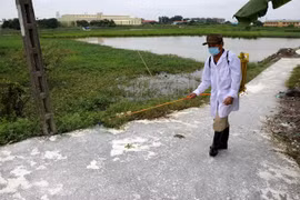Over 760 billion VND for bird flu control during 2019-2025