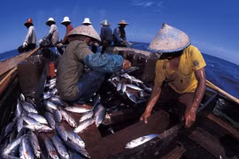 Indonesia to increase investment in maritime, aquatic sectors