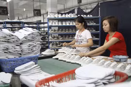 Africa – promising market for Vietnamese goods