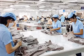 Vietnam, RoK foster business connection