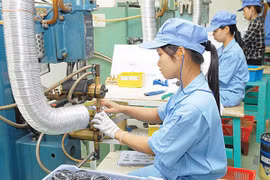 FDI enterprises pay lowest taxes despite high profits