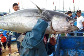 Personnel training – key to marine economy sustainably 